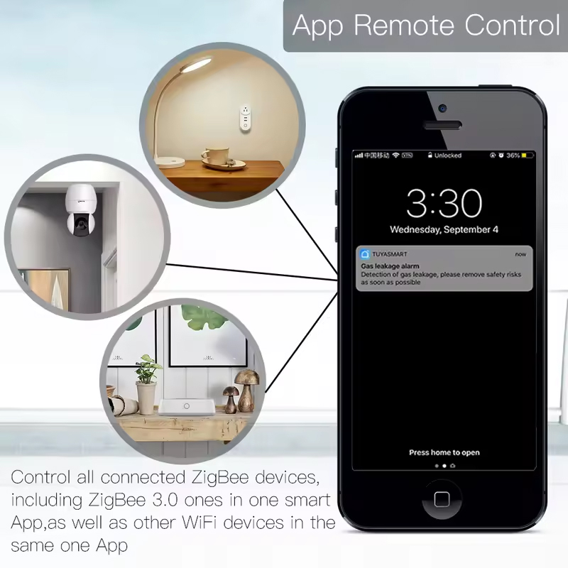Moes Tuya ZigBee 3.0 Smart Gat - Matter Hub Thread review and price