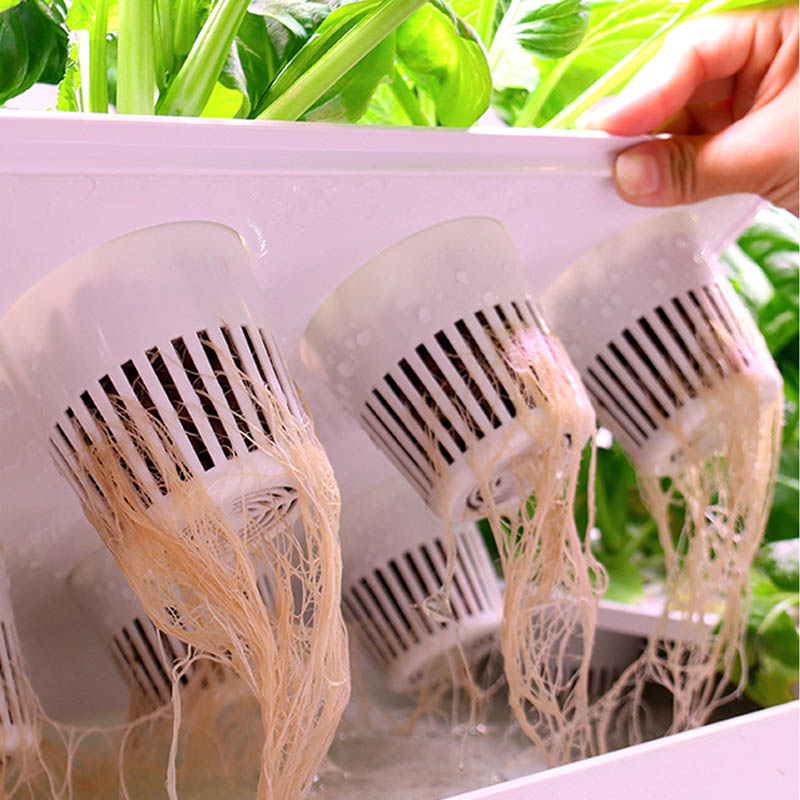 ydroponic Planting System Smar - Diy Home Automation System review and price