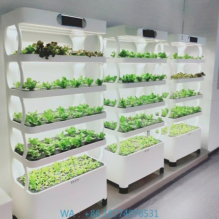 Hydroponic Automated Grow Syst - Diy Automation review and price
